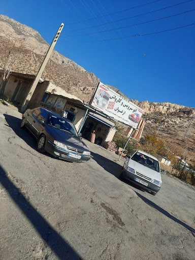 کارواش ارغوان