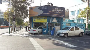 باتری شیردل
