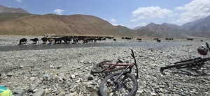 پاسگاه محیط بانی گرمابدر