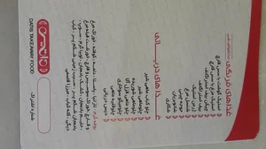 بیرون‌بر داتیس 3