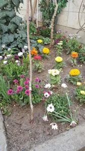 خیریه انصارالمهدی