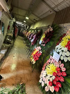 شرکت وطن شمش ایرانیان