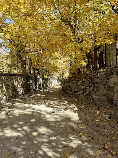 تقسیم آب