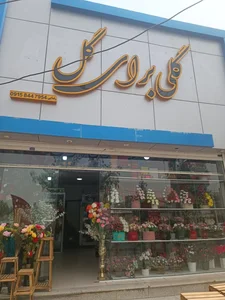 زاهدان گلی برای گل