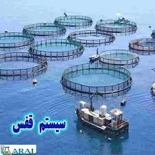 پرورش ماهی قزل آلا