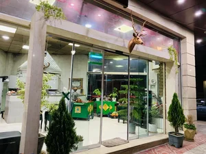 طباخی ساوا 4
