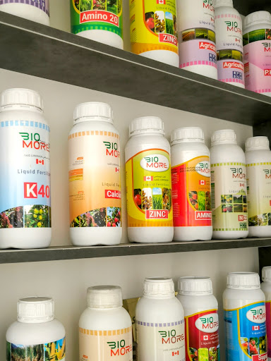 دفتر شرکت بیومور