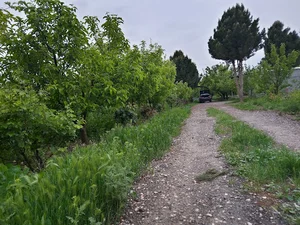 یادمین