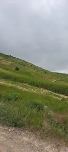 باغ حاچ بشیر