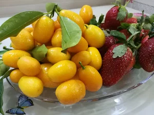 میوه سرای به به