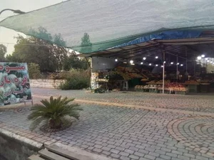 میوه و تره بار اثباتی