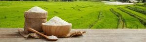 برنج فروشی شالیزار(رستم پور)