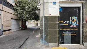 طوطی کده