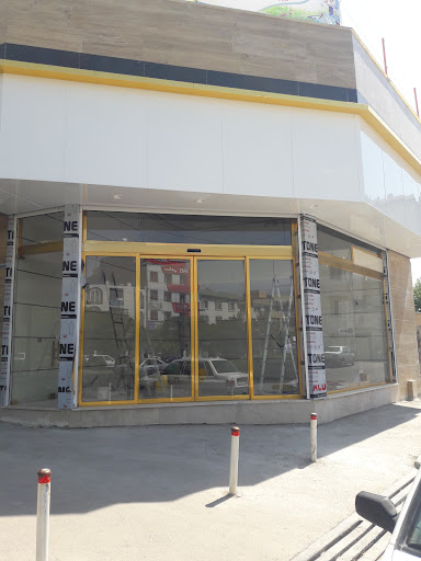 آریانا در