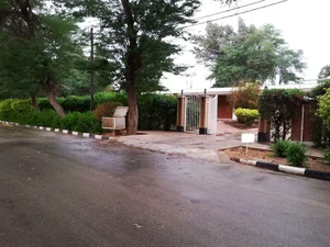 لبنیات سادات
