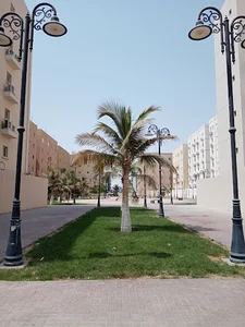 حديقة حي الصفا