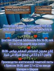 فروش رب گوجه فرنگی شاپرک 4