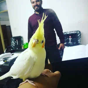 کلینیک اختصاصی پرندگان مهر