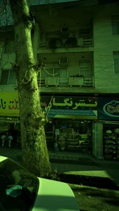 نشر نگار مشایخ
