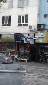 سوپر گل ستایش 2
