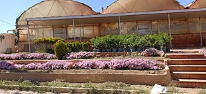 گلستان میلاد
