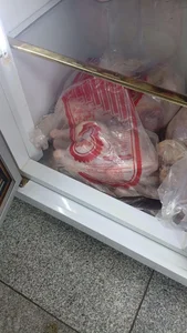 دکتر بوقلمون فرشید