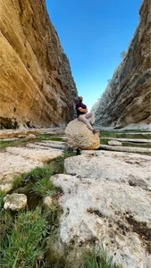 تنگ جیز شاهنشین