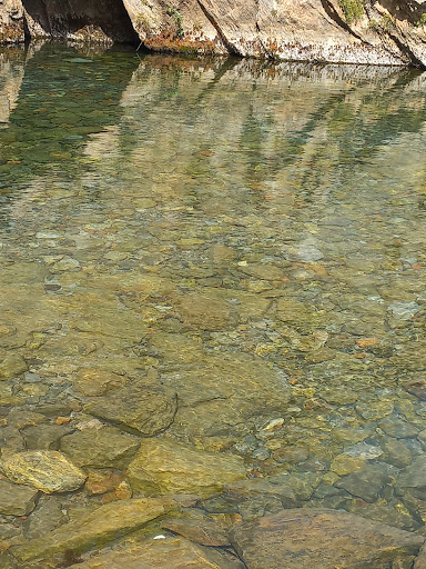 پارک نسترن