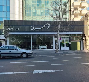 اتو مطهری
