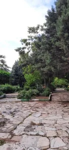 پارک فدک 4