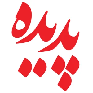 عرضه بازی فکری و آموزشی پدیده