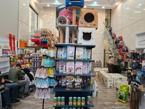 بلوپت 4