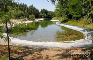 باغ گیاه شناسی