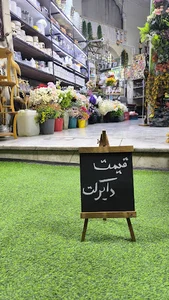 کادویی آریانا