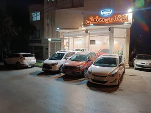 اتوگالری صنعتی 3