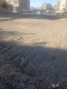 پارک شایان