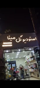 استودیو گل مینا
