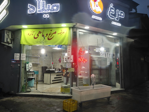 مرغ و ماهی میلاد