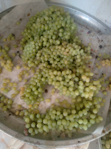 میوه فروشی مجید