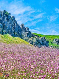 سوباتان