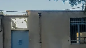 شركت پارس گل نرگس
