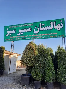 نهالستان مسیر سبز