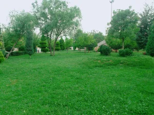 میدان معلم