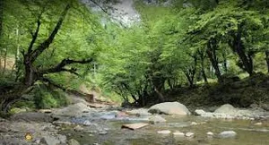 تفرجگاه دوآب سیاهکلرود کجاست؟ | تصاویر، نقشه، مسیر ☀️ این تودی
