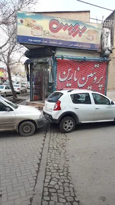 پروتئین نارین