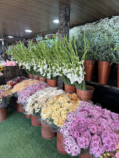 گلفروشی رزلند