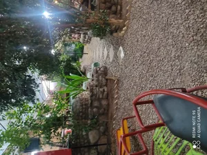 رستوران باغ اعیونی 2