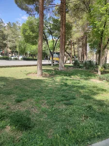 کوی امام