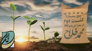بازرگانی برنج علی ناظران