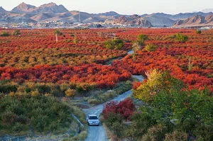 روستای افین کجاست؟ معرفی + راه‌های دسترسی - مجله مِستر بلیط